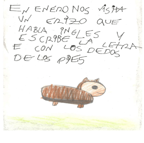 La imagen muestra un dibujo de un erizo. Su cuerpo del animal es alargado y de color marr n, con l neas m s oscuras que simulan un patr n o pelaje. Su cabeza es redonda, con una oreja peque a en cada lado. Los ojos son grandes y oscuros, y tiene una peque a sonrisa dibujada en su rostro. Las patas del animal son cortas y simples, de color marr n m s oscuro que el cuerpo. El fondo es blanco