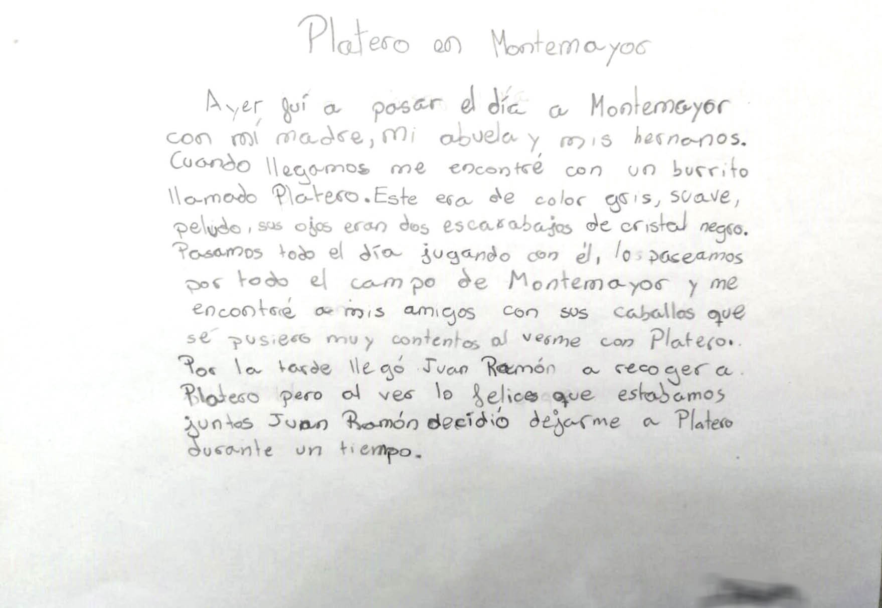 Texto escrito por los autores